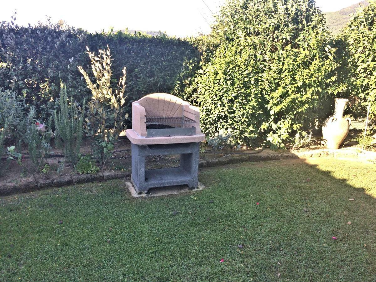 Under The Tuscan Sun Vicopisano Exterior foto